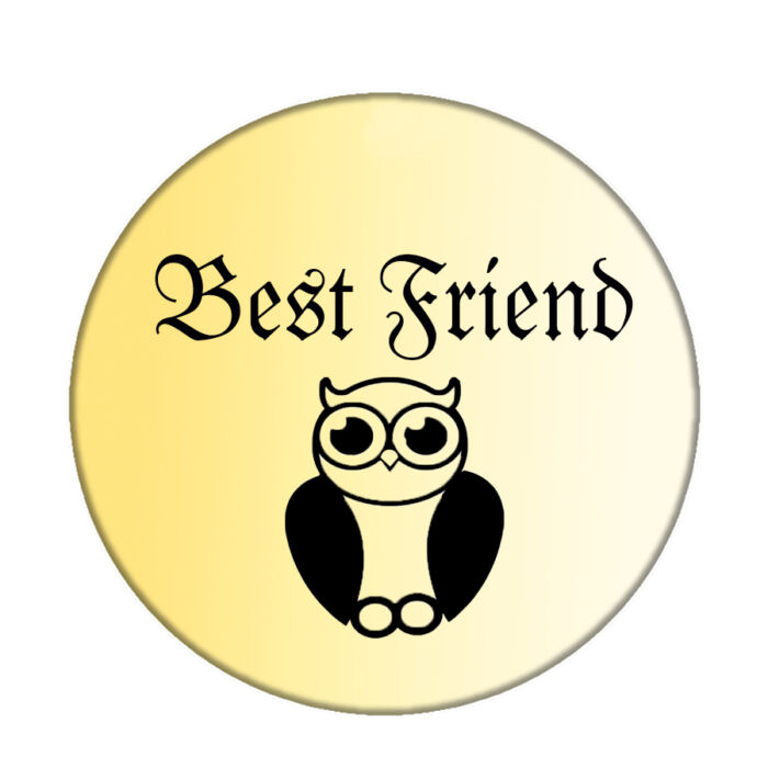 Baglyos Best Friend kitűző