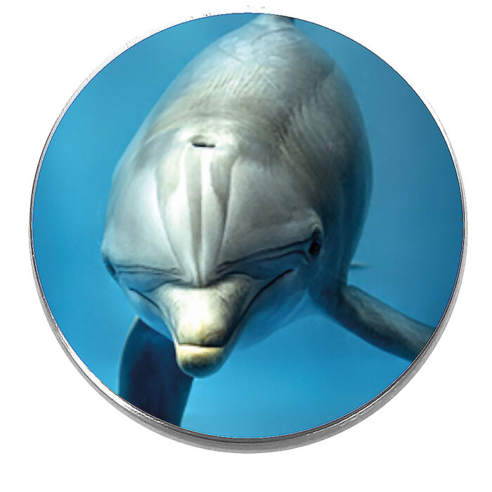 Delfin kitűző