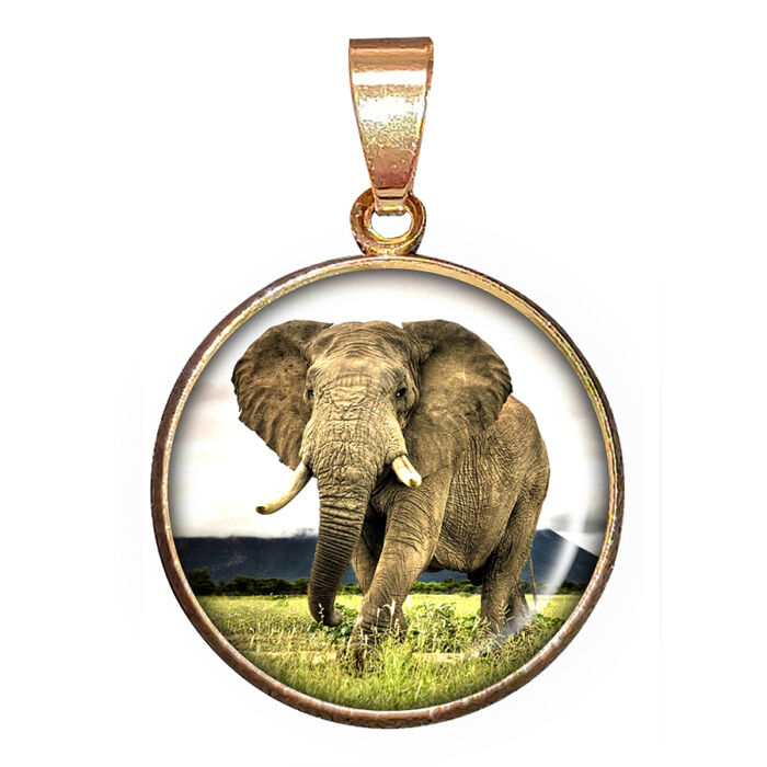 Elefántos medál lánccal vagy kulcstartóval