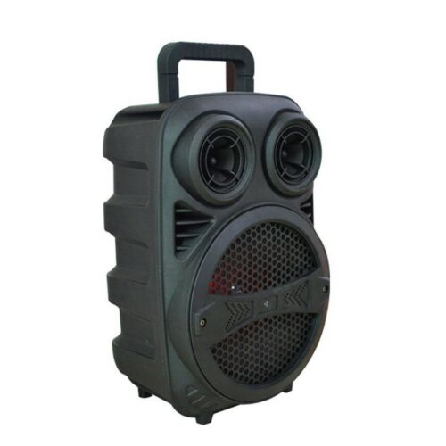 Hordozható Bluetooth Hangszóró Karaoke Mikrofonnal W888