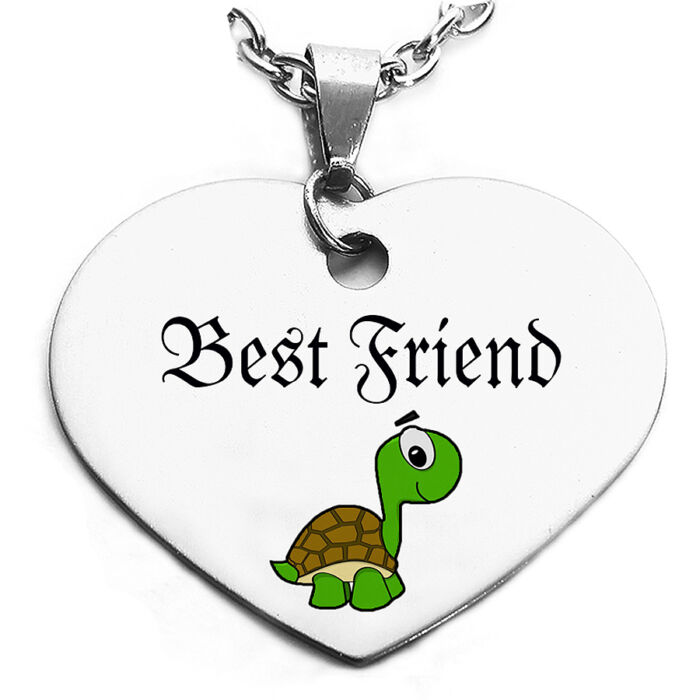 Best Friend (Legjobb barát) teknősös medál láncra, vagy kulcstartóra (többféle)