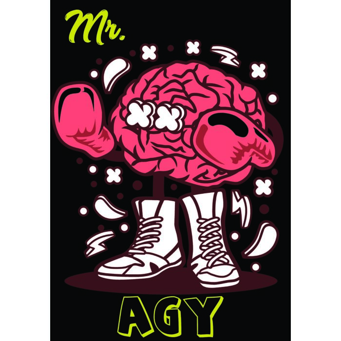 Puzzle – Mr. Agy (120 db-os)