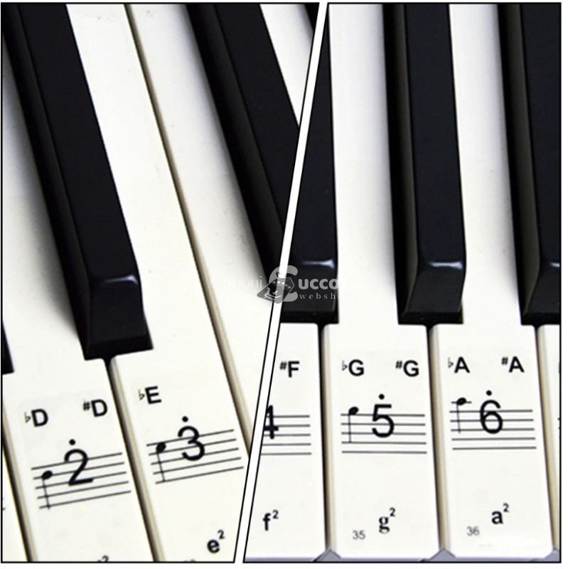 Átlátszó zongorabillentyűzet matricák, fekete-fehér