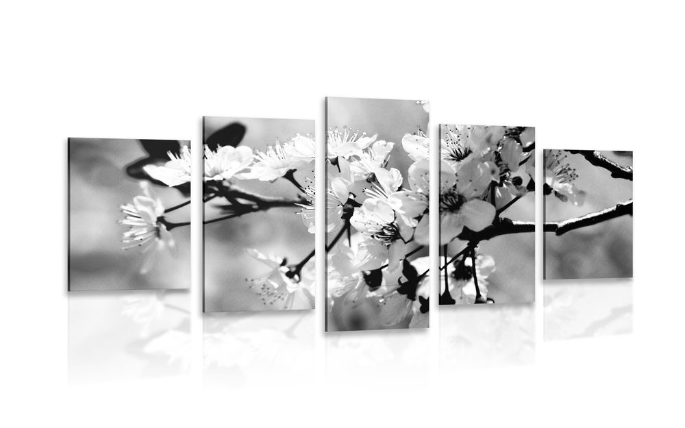 5 részes kép cesrezsnye virág fekete fehérben