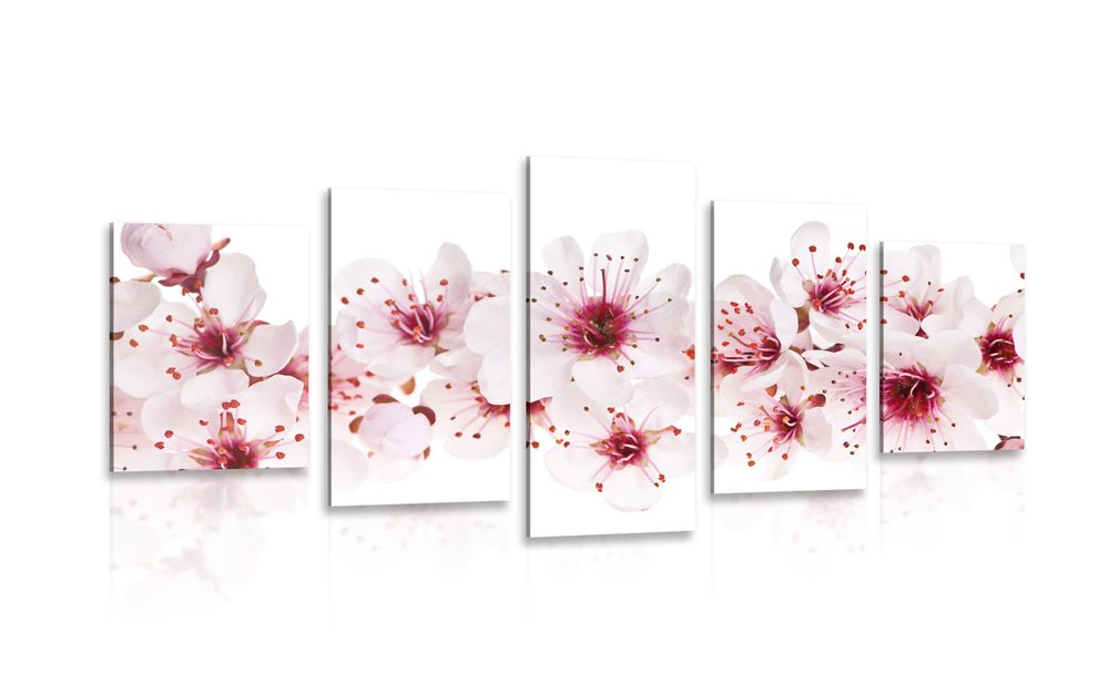 5 részes kép cseresznye virágok