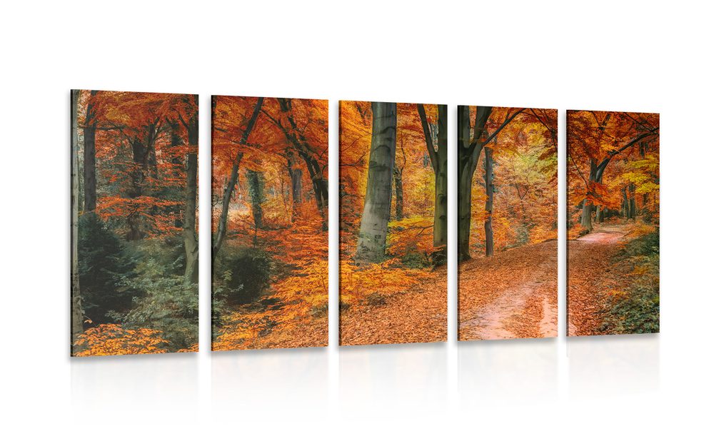 5-részes kép erdő ősszel
