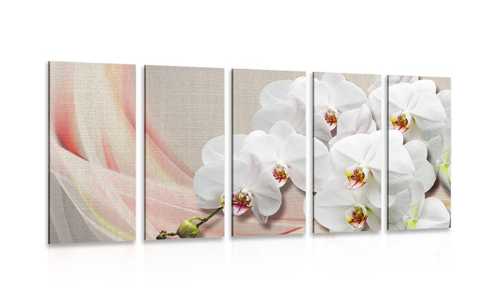 5-részes kép fehér orchidea