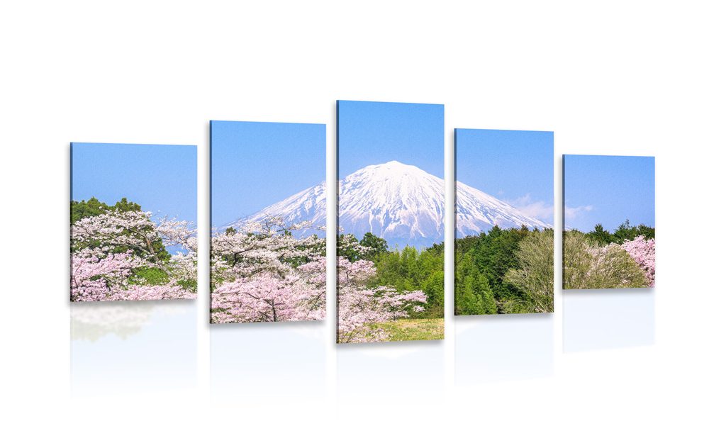 5 részes kép Fuji vulkán
