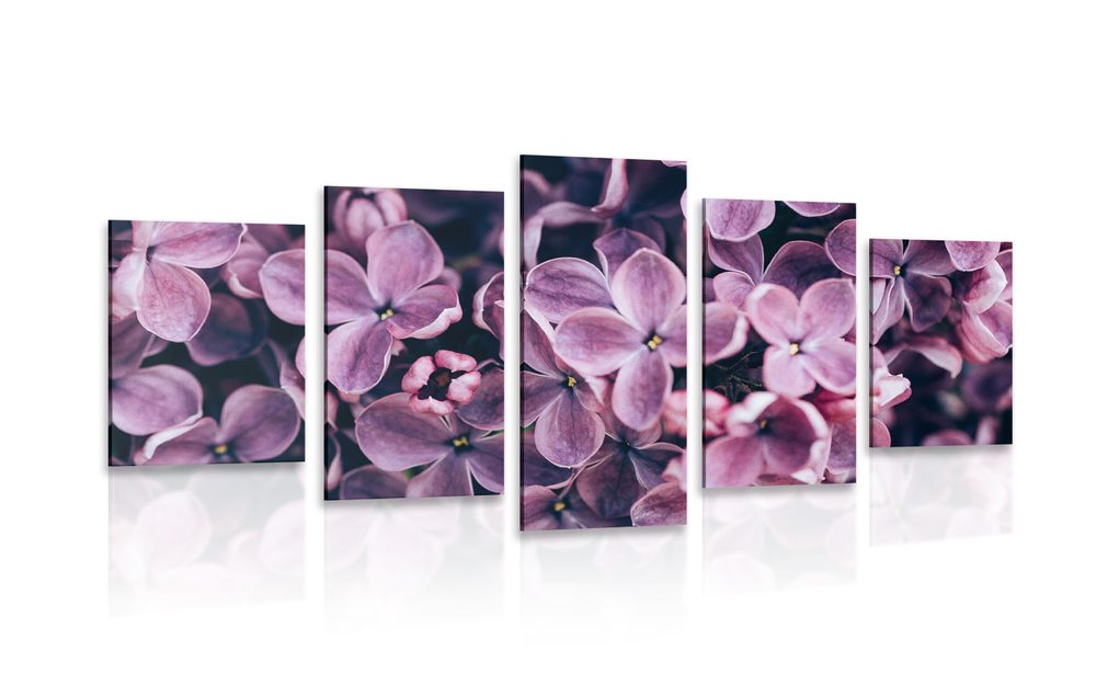 5 részes kép lila orgona virágok