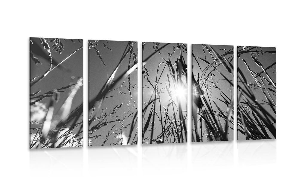 5-részes kép mezei fű fekete fehérben