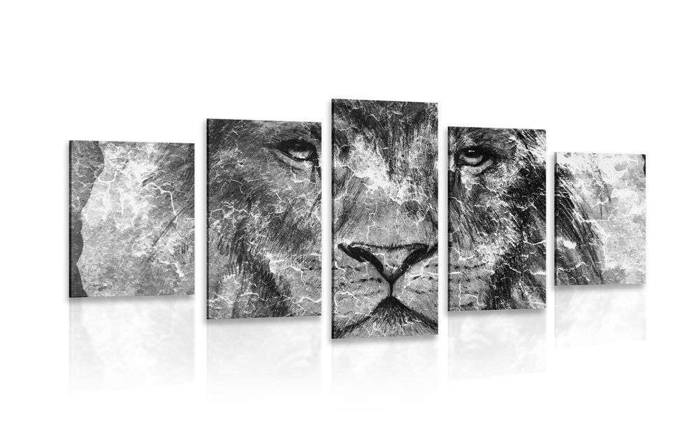 5 részes kép oroszlán arc fekete fehérben