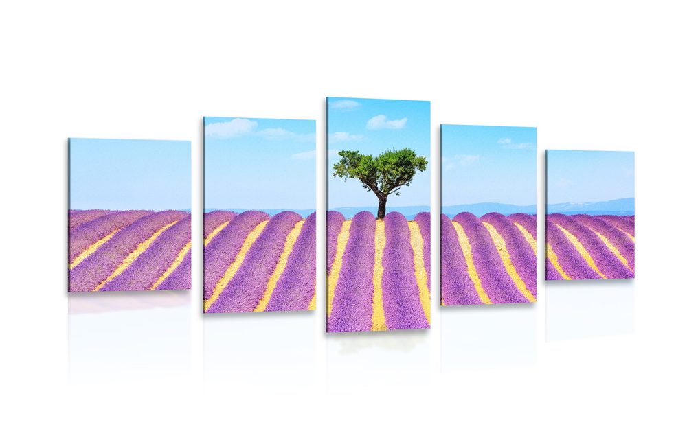 5 részes kép provence-i levandula mező
