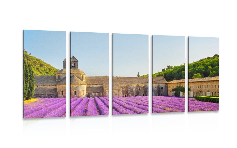 5-részes kép Provence levandulával