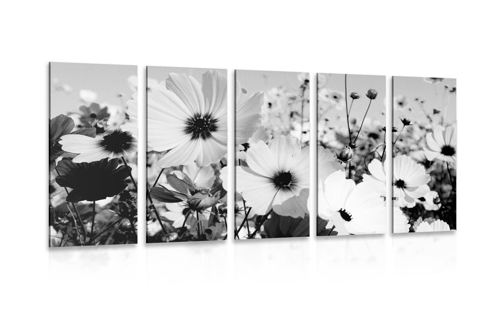5-részes kép tavaszi virágok a réten fekete fehérben