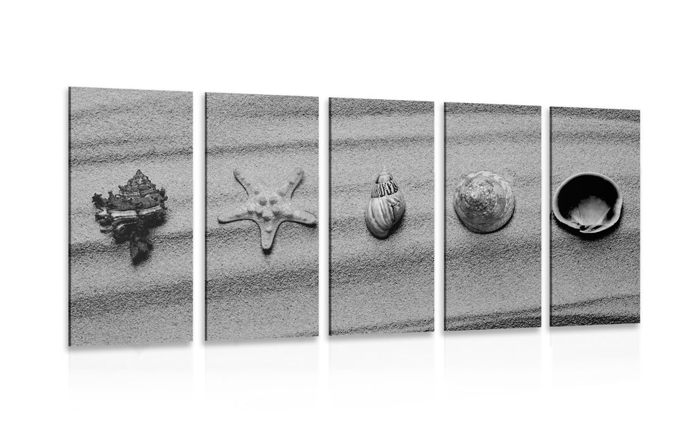 5-részes kép tengeri kagylókból a homok tengerparton fekete fehérben
