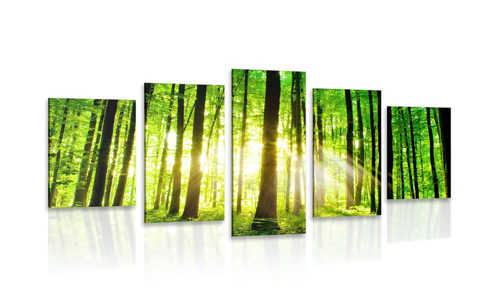 5 részes kép üde zöld erdő