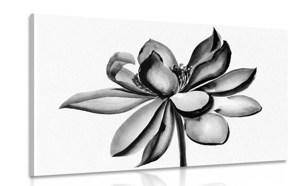 Kép akvarell lótuszvirág fekete fehérben