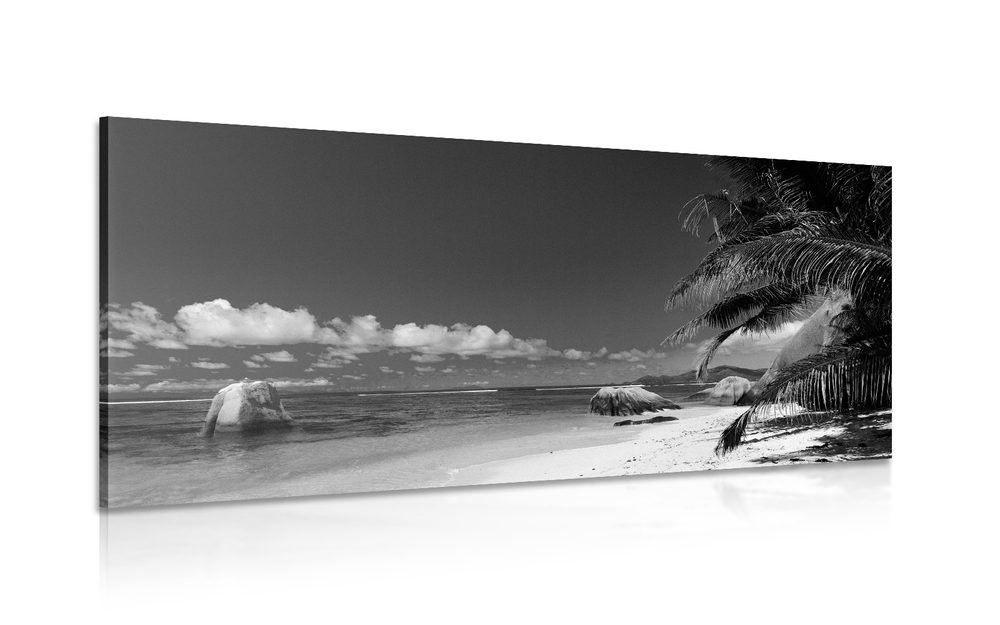 Kép  Anse Source tengerpart fekete fehérben