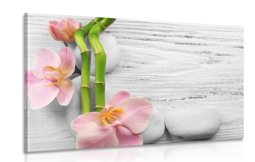 Kép bambusz, orchidea, fehér kő összhatása