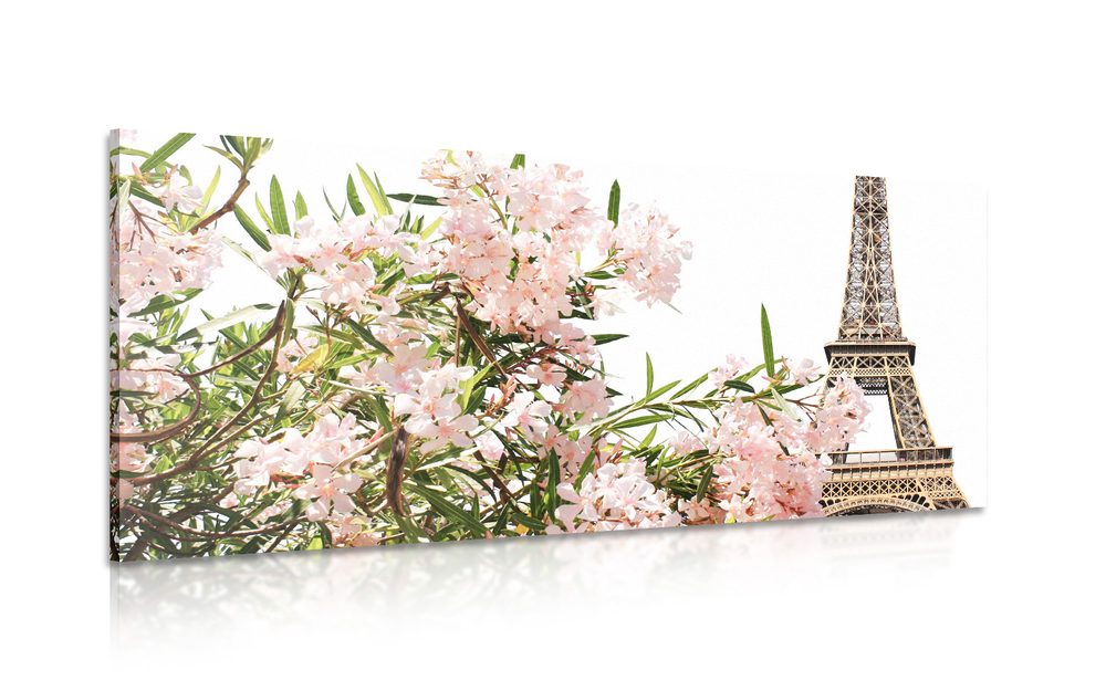 Kép Eiffel torony és rózsaszínű virágok