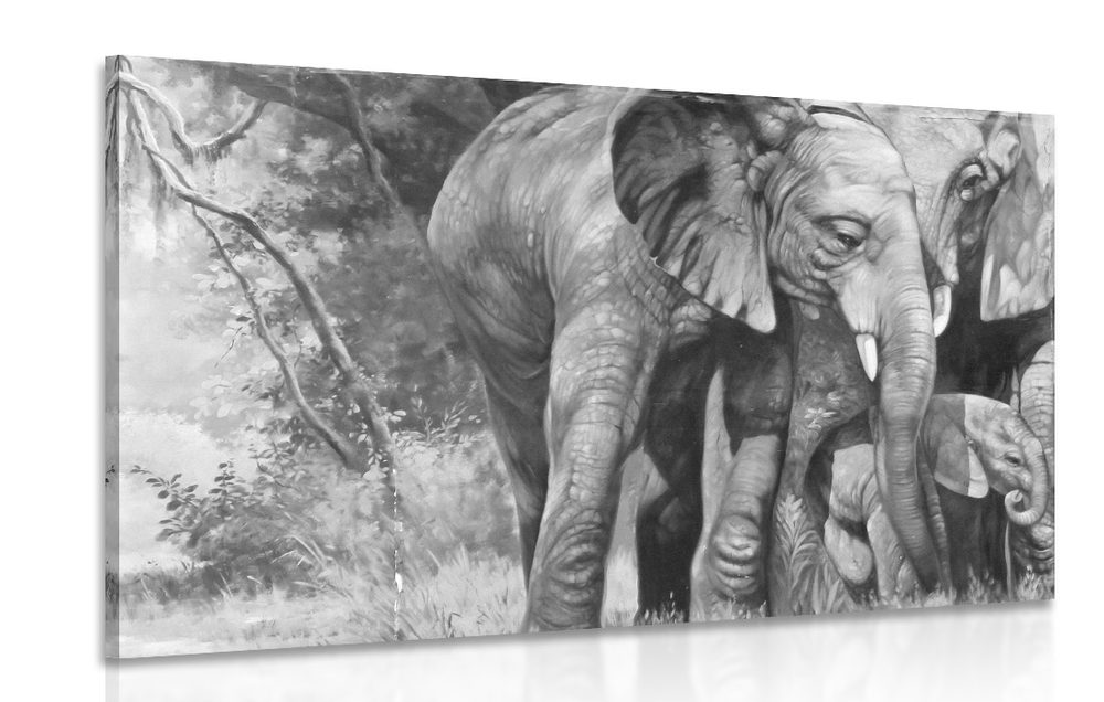 Kép elefánt család fekete fehérben
