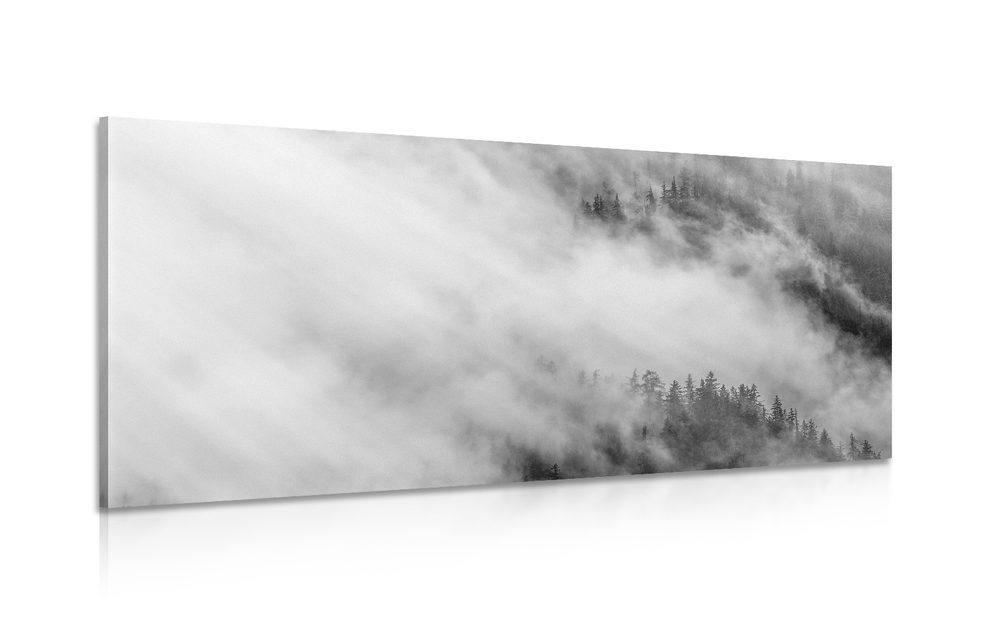 Kép erdő ködben fekete fehérben