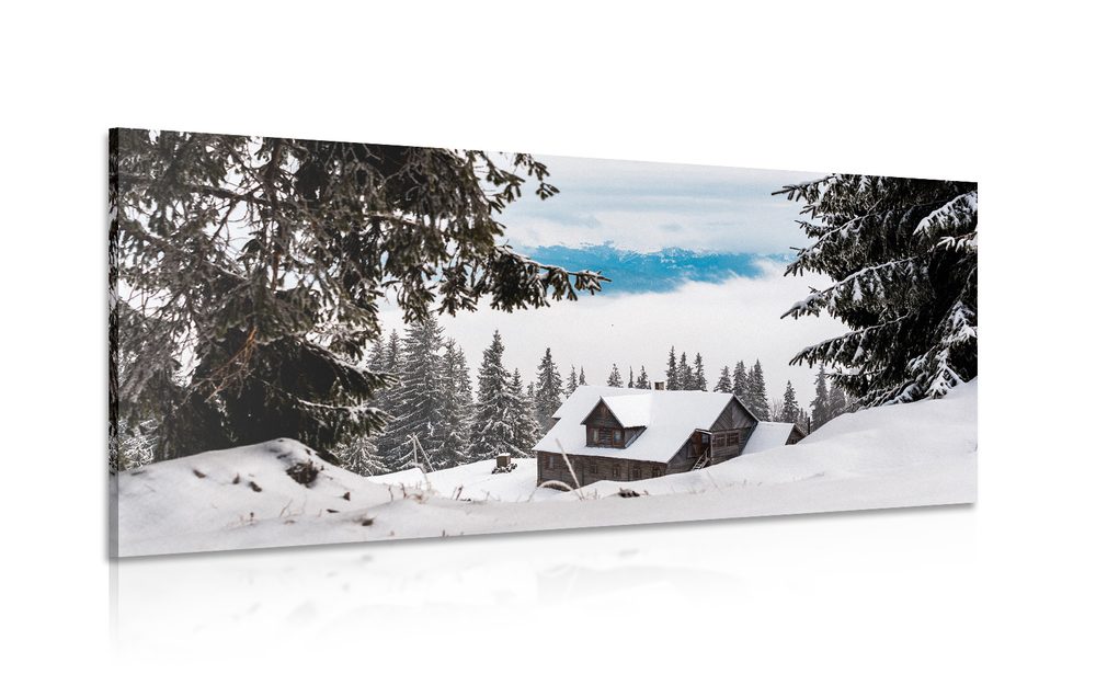 Kép  faház fekete-fehér hóval borított fenyők mellett