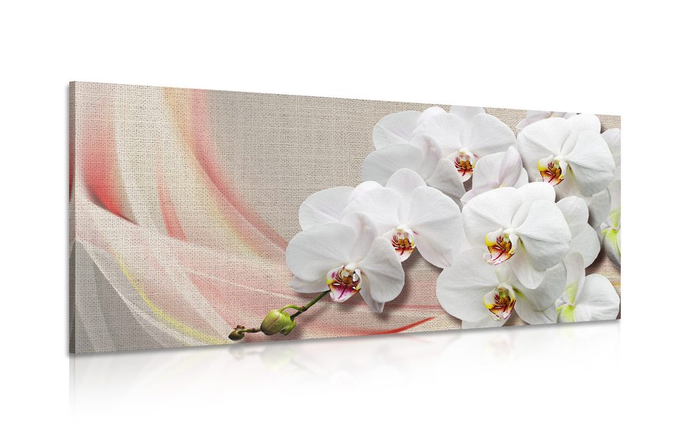 Kép fehér orchidea vásznon