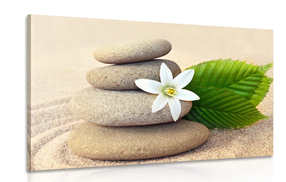 Kép fehér virág és kövek a homokban