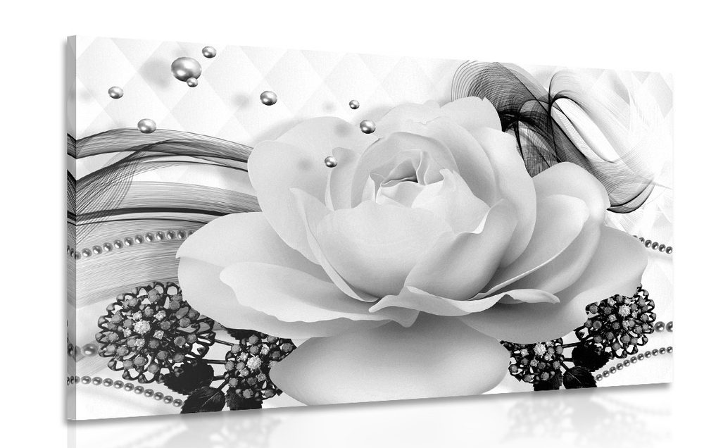 Kép fényűző rózsa absztrakció fekete fehérben