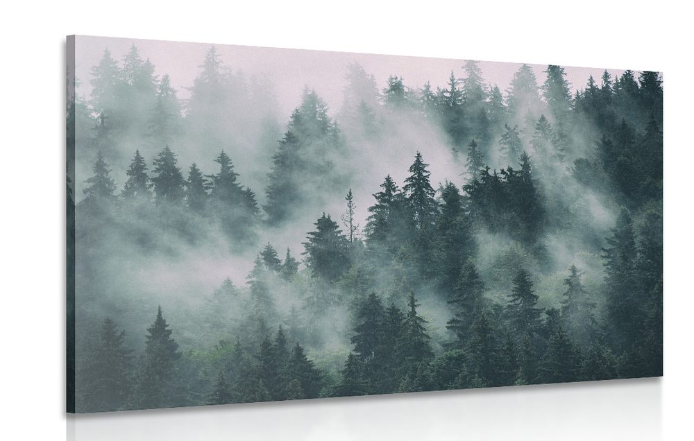Kép hegyek ködben
