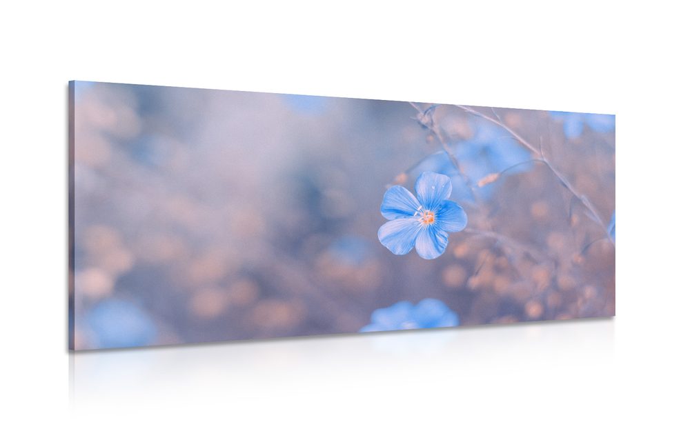 Kép kék virágok vintage háttéren