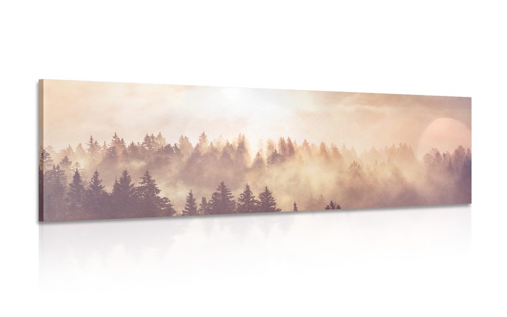 Kép köd az erdő felett