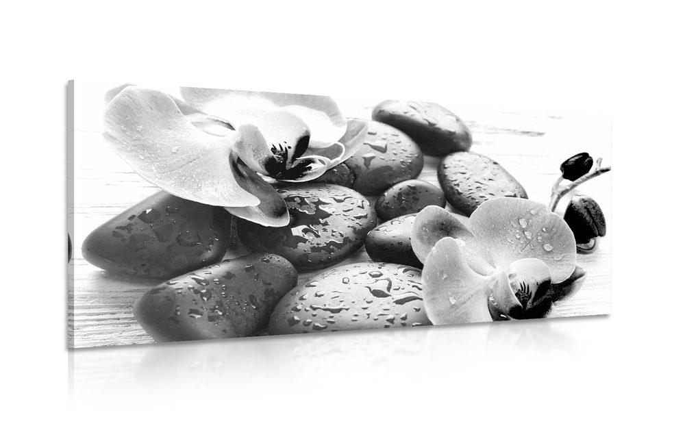 Kép kövek és virágok összhatása fekete fehérben