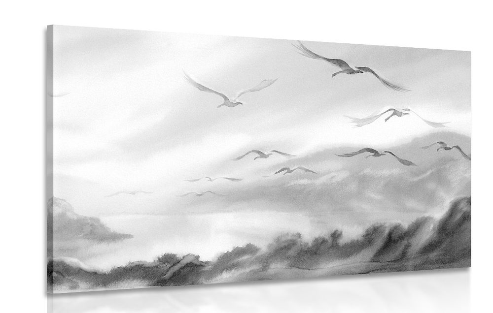 Kép madarak repülése a táj felett fekete fehérben