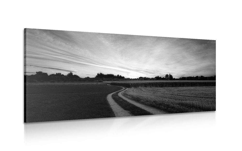 Kép naplemente mezőnél fekete fehérben