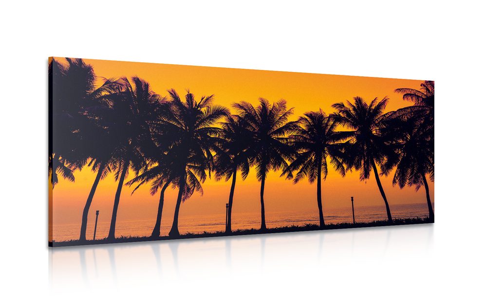 Kép naplemente pálmafák felett