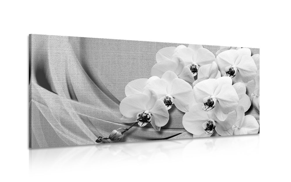 Kép orchidea vásznon fekete fehérben