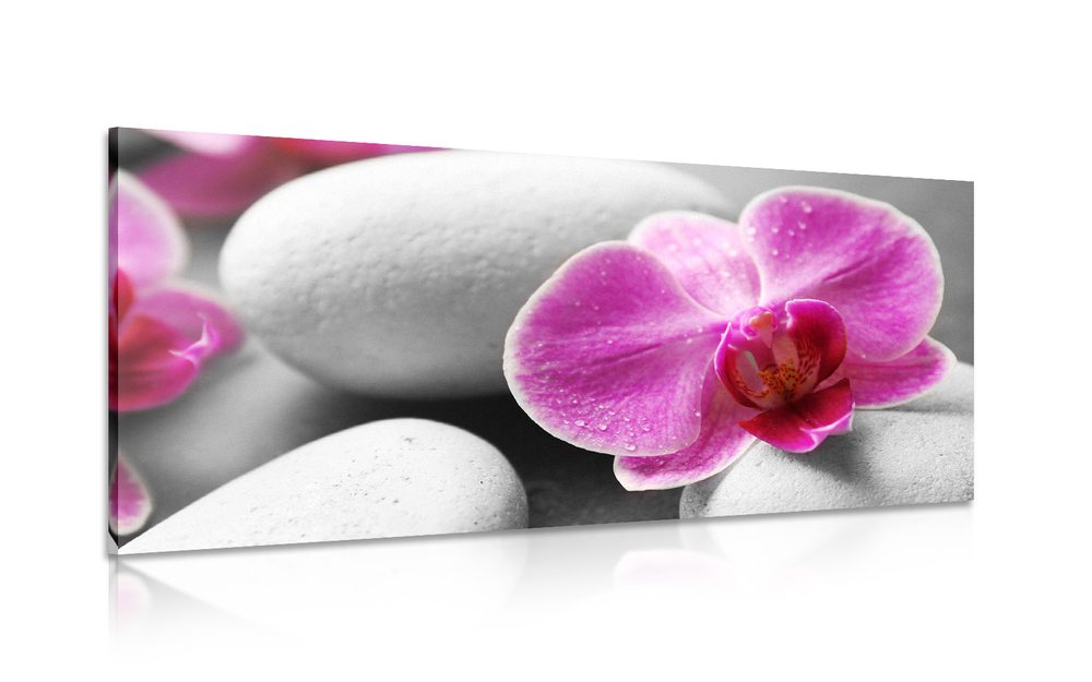 Kép orchidea virágok fehér köveken