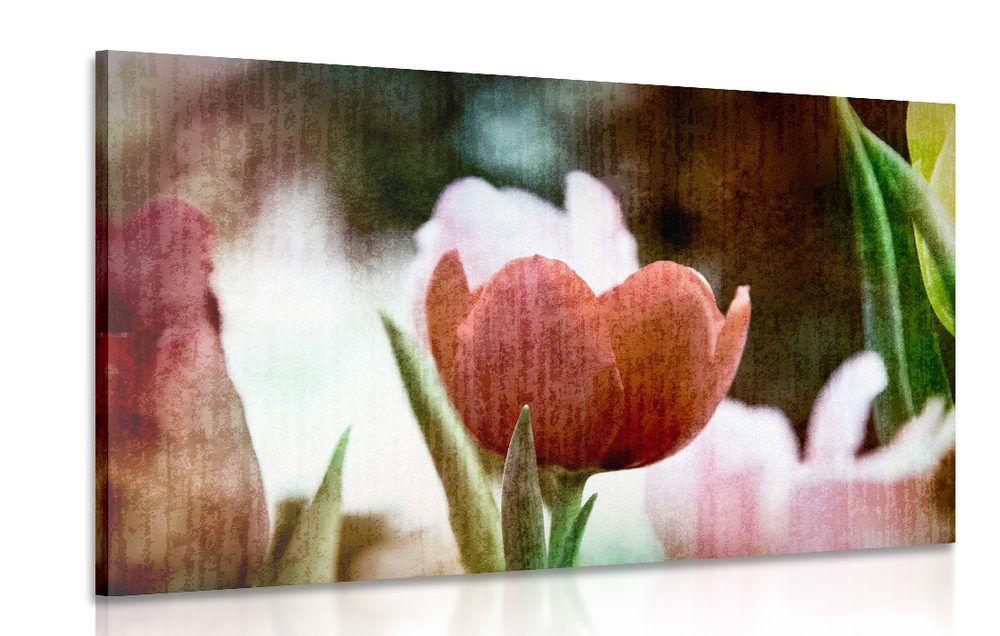 Kép retro tulipán a réten
