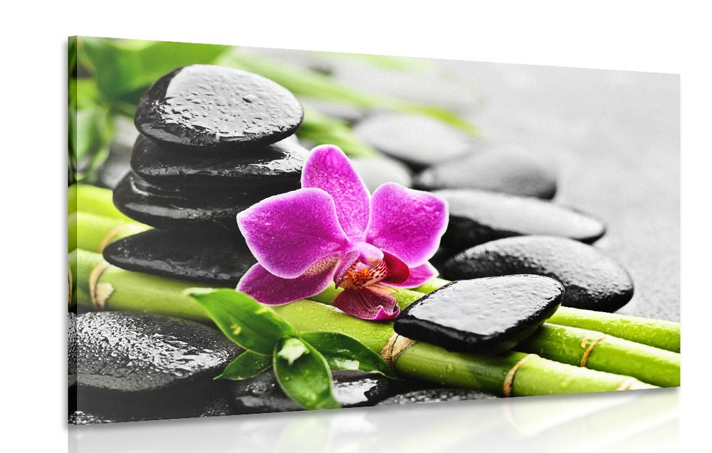 Kép Spa összeállítás lila orchideával