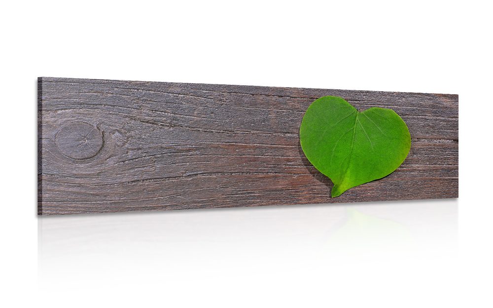 Kép szív alakú levél fa alapon