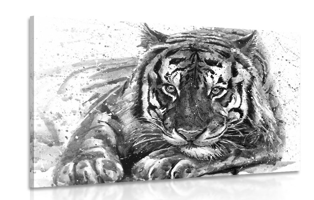 Kép trigris fekete fehérben