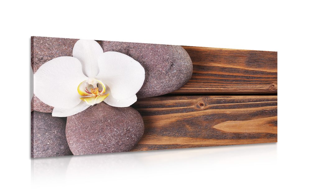 Kép wellness kövek és orchidea fa háttéren