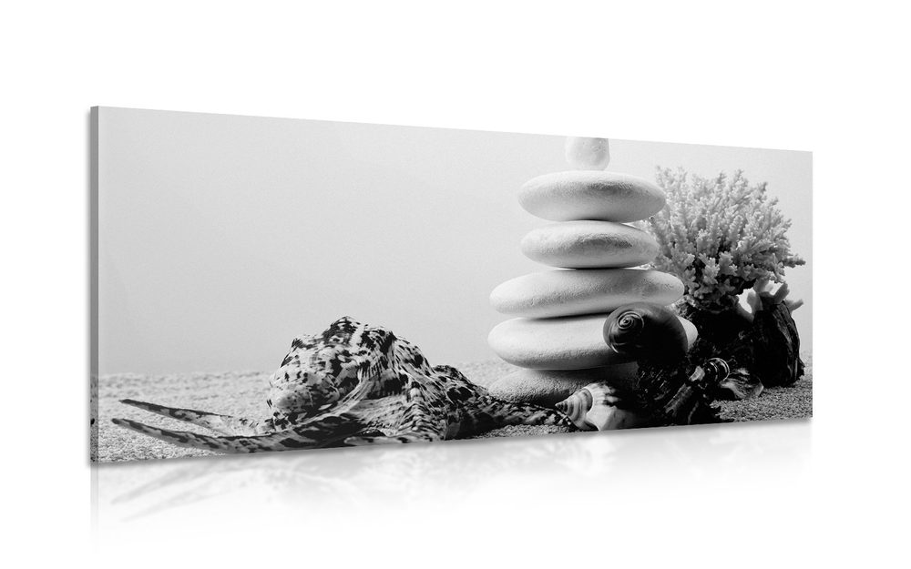 Kép Zen kövek és kagylók fekete fehér