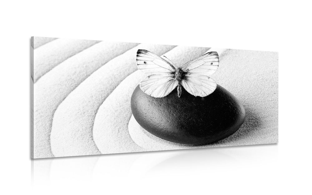 Kép Zne kő lepkével fekete fehérben