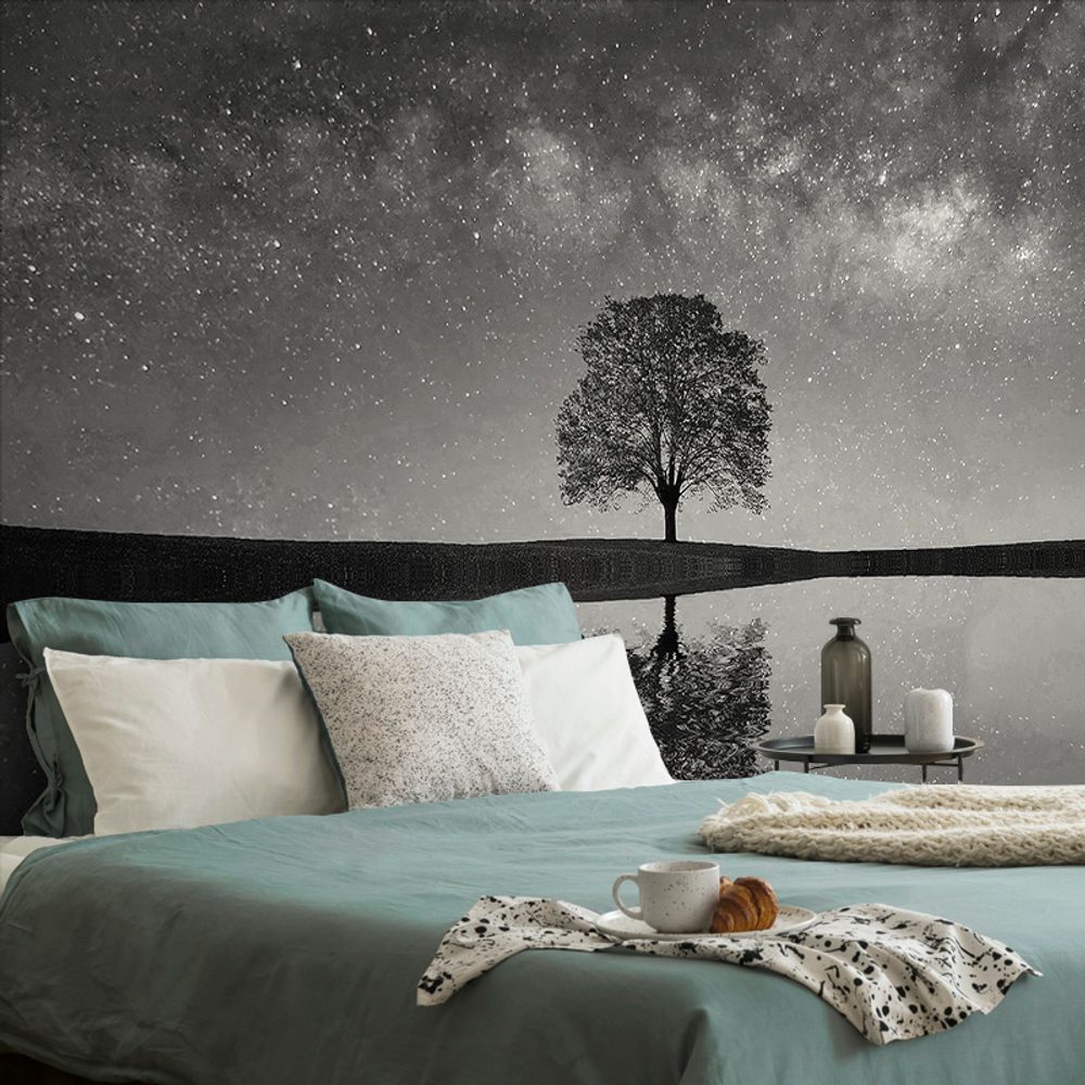 Öntapadó fotótapéta fekete-fehér csillagos ég egy magányos fa felett