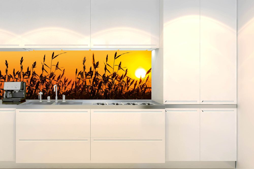 Öntapadó konyha fotótapéta szárak a naplementében