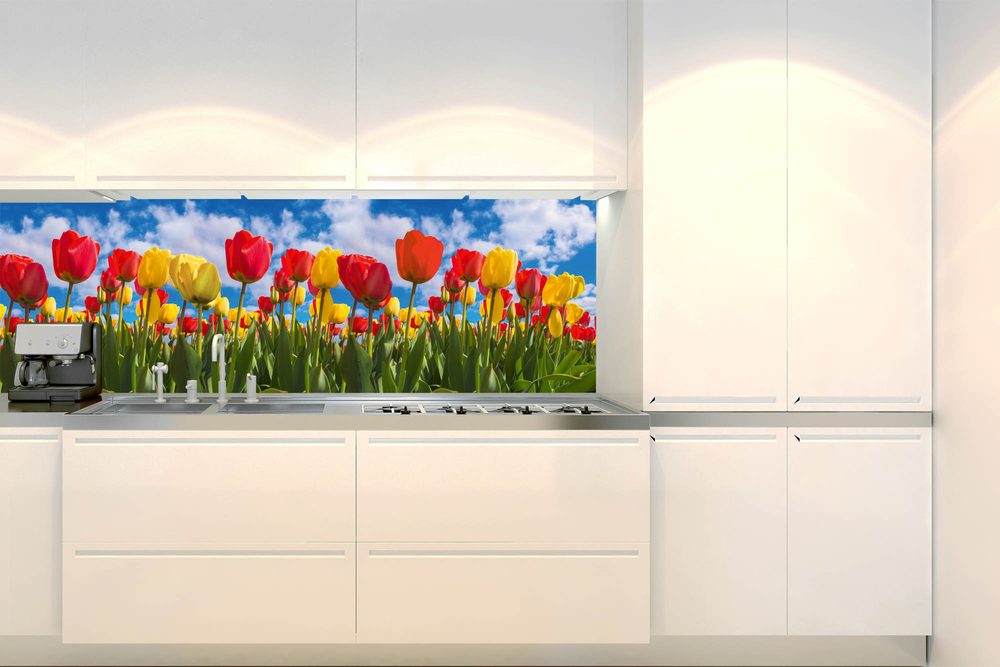 Öntapadó konyha fotótapéta tulipánokkal teli mező