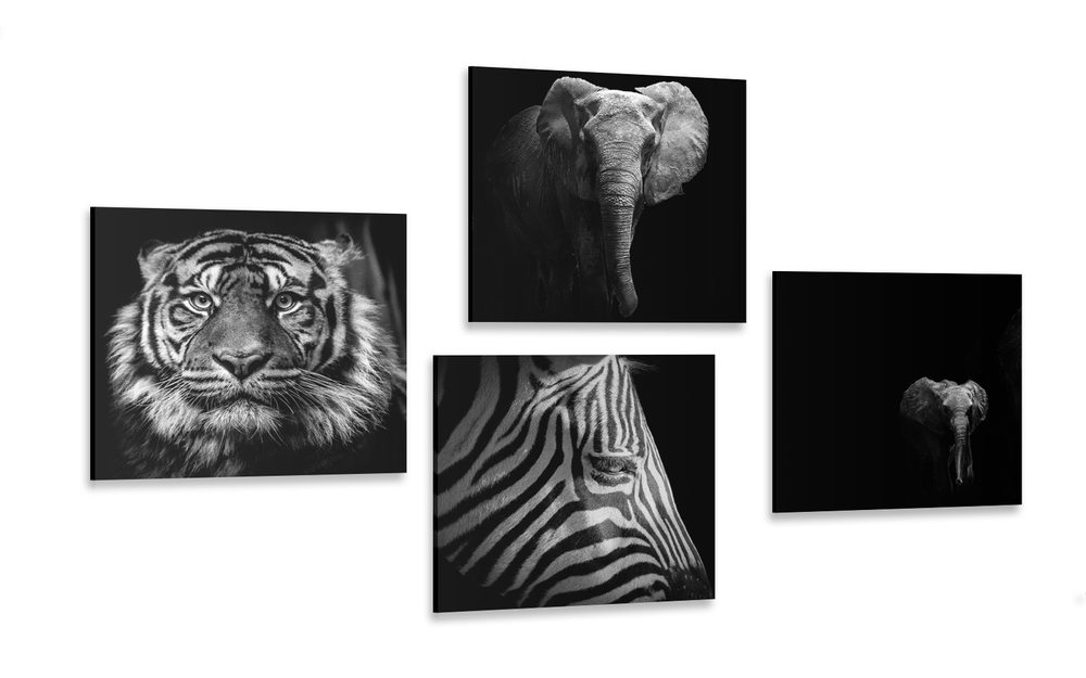 Képszett állatok fekete-fehér változatban